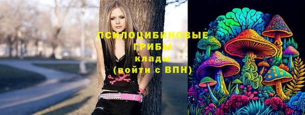 соль курить ск Алзамай